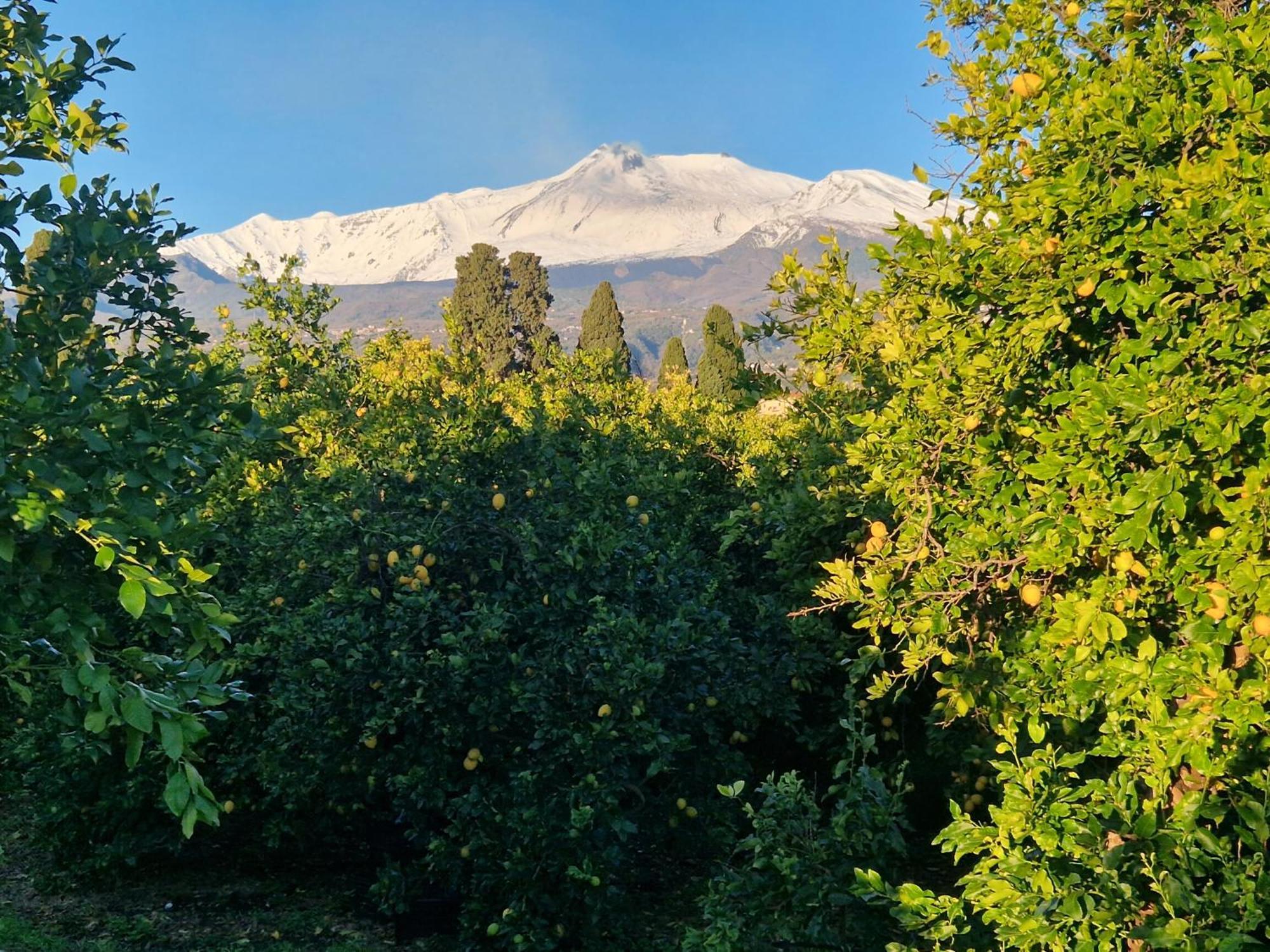 Вилла Lumia Рипосто Экстерьер фото