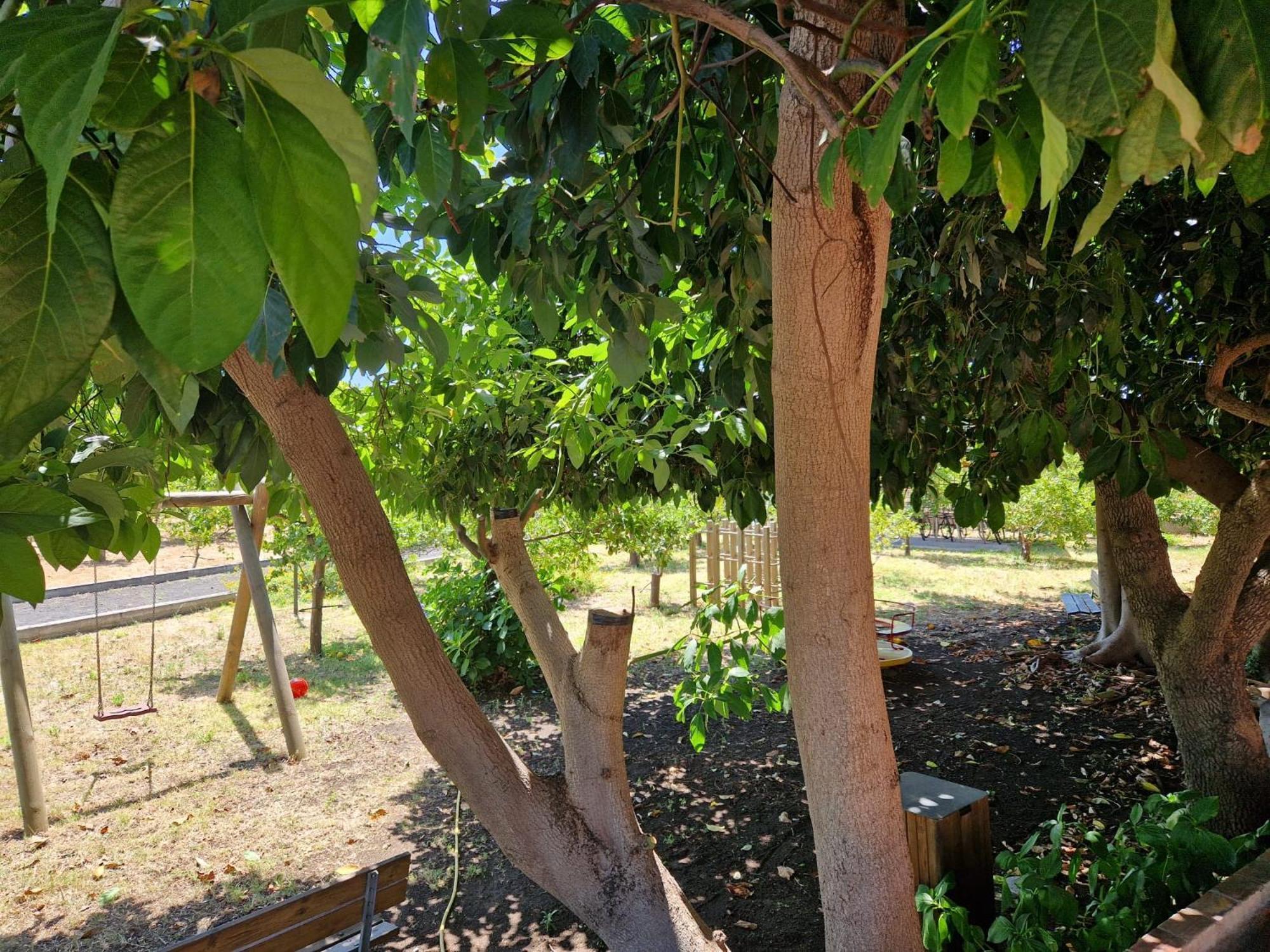 Вилла Lumia Рипосто Экстерьер фото